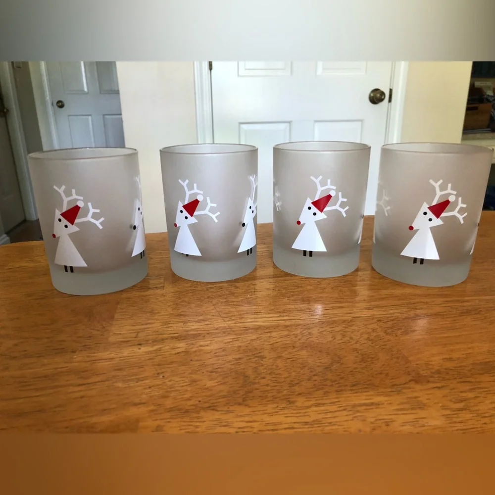 NWT 4 frosted glasses- Crate&Barrel